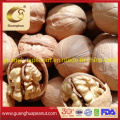 Raw High-Quality Walnut in Shell Healthy Delicious